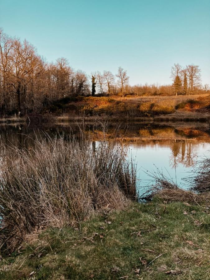 La Ferme Du Pont De Maumy, Cabane Au Bord De L'Etang Et Bain Nordique Busserolles 외부 사진