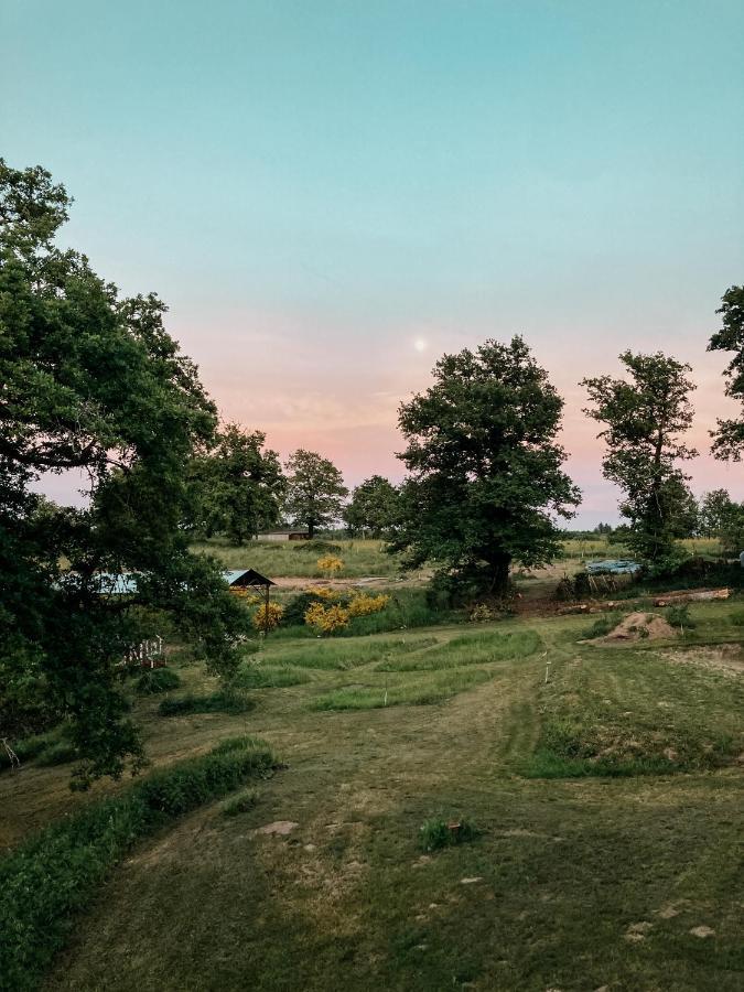 La Ferme Du Pont De Maumy, Cabane Au Bord De L'Etang Et Bain Nordique Busserolles 외부 사진