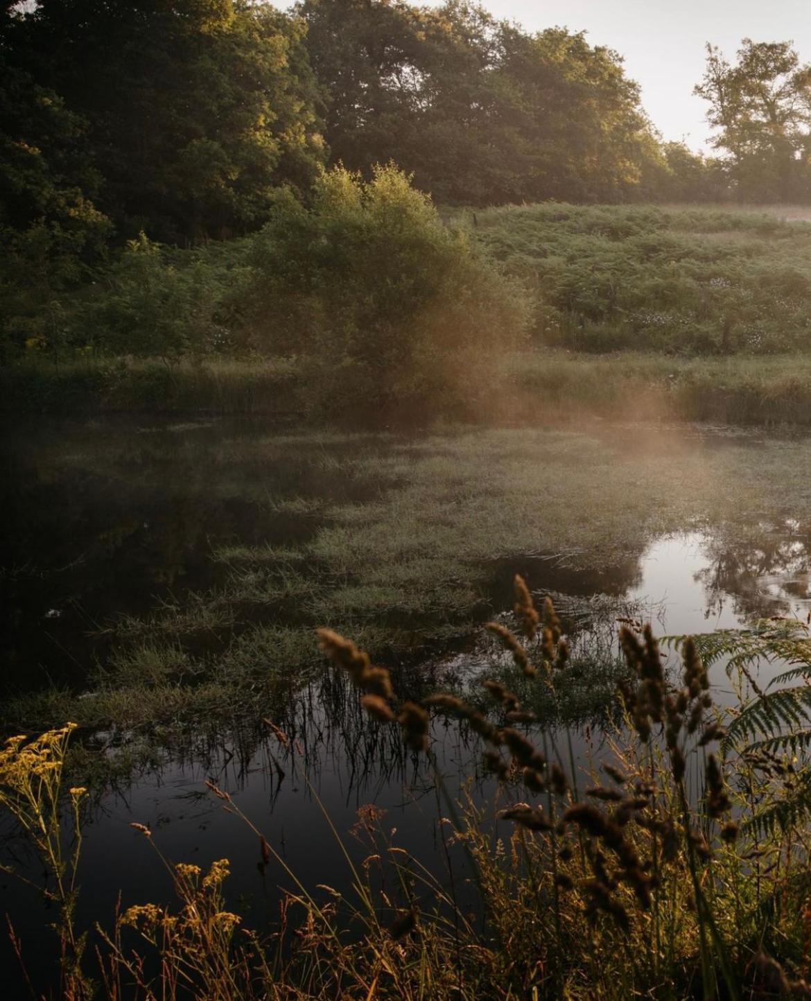 La Ferme Du Pont De Maumy, Cabane Au Bord De L'Etang Et Bain Nordique Busserolles 외부 사진